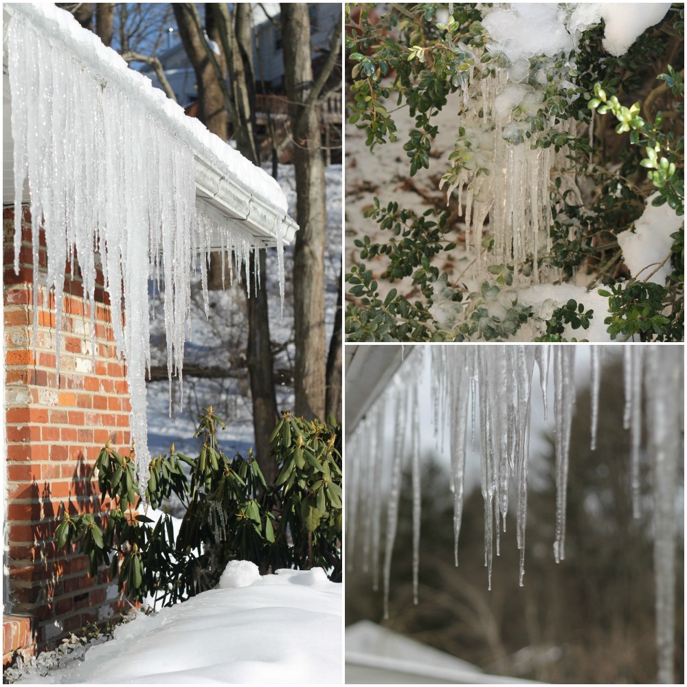 icicles