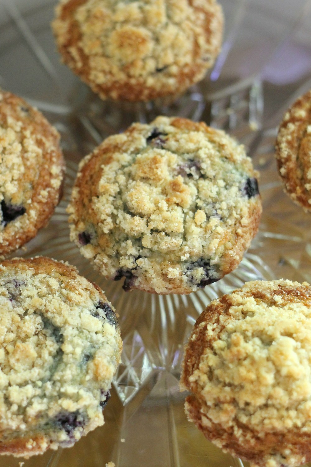 blueberrymuffins